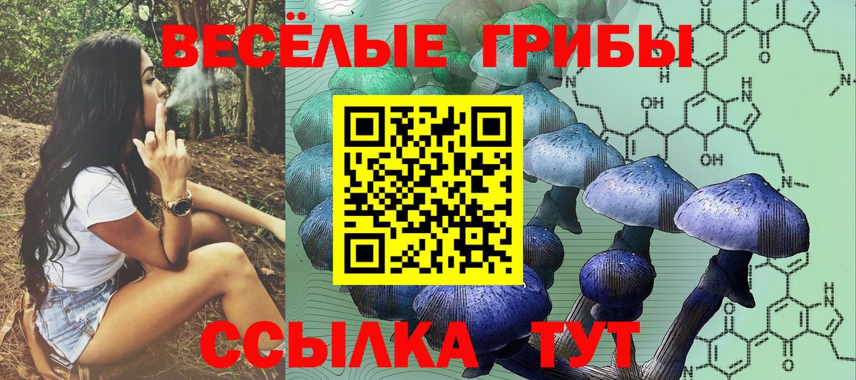 Малгобек  Галлюциногенные грибы Magic Shrooms  Вход с VPN 