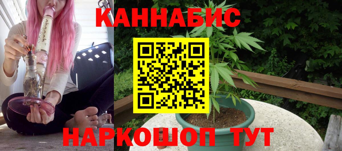 Бошки марихуана индика Малгобек