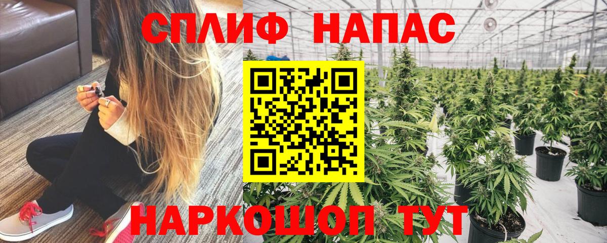 Малгобек  МАРИХУАНА планчик  Каннабис White Widow  Бошки Шишки Amnesia  Вход с VPN 